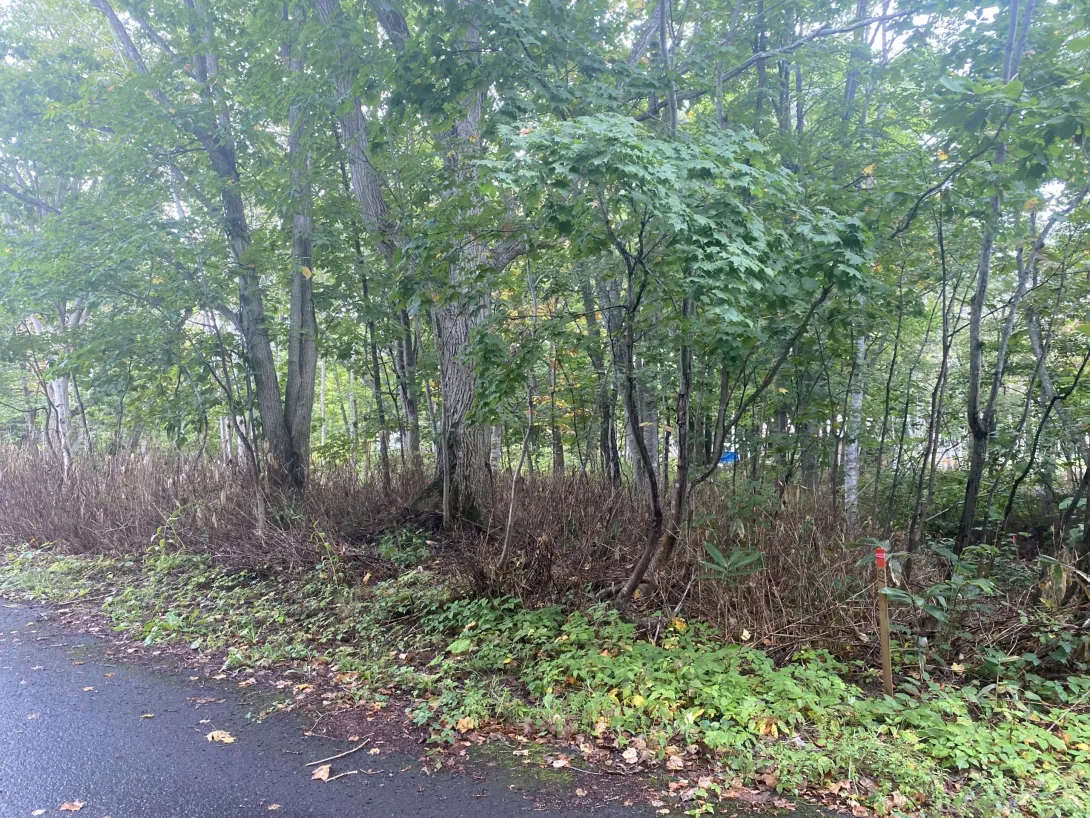 457698062_922075613290231_4092265169828874771_n